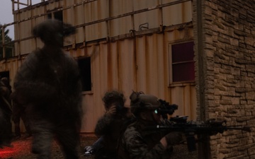 MAGTF Interop 3/6 Lima Co. Night Raid