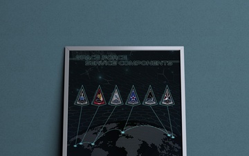 USSF Service Components Poster