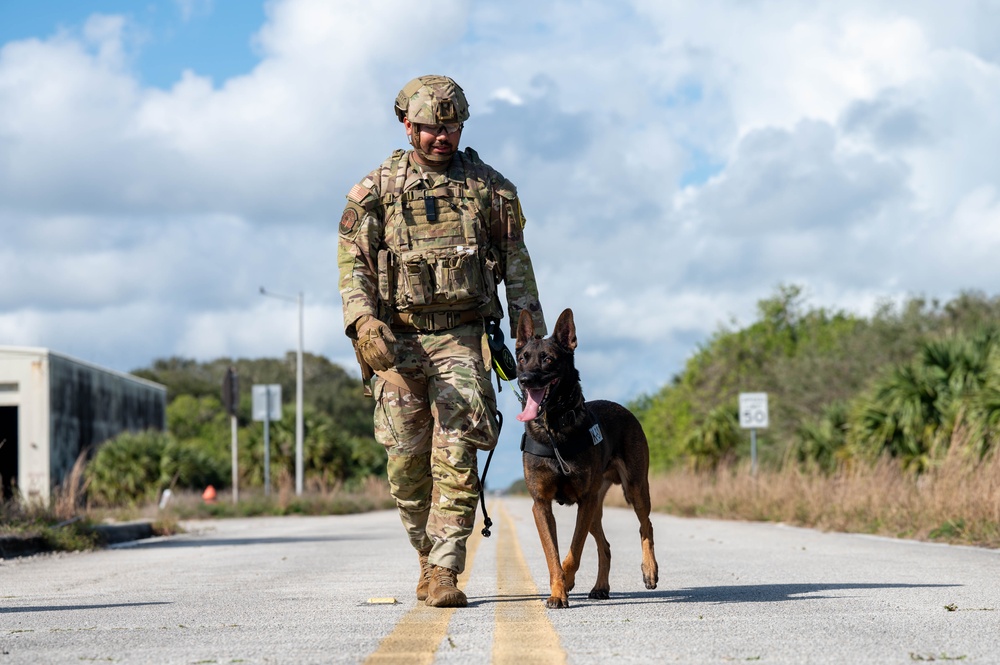 K9 and EOD Joint Training Exercise