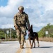 K9 and EOD Joint Training Exercise