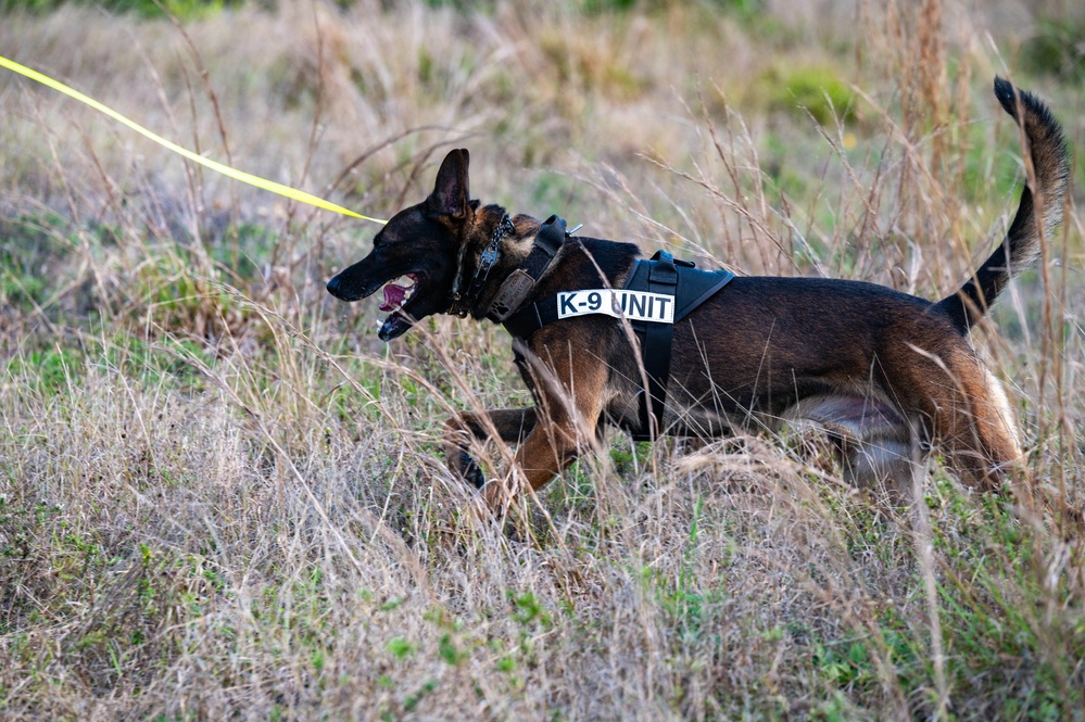 K9 and EOD Joint Training Exercise