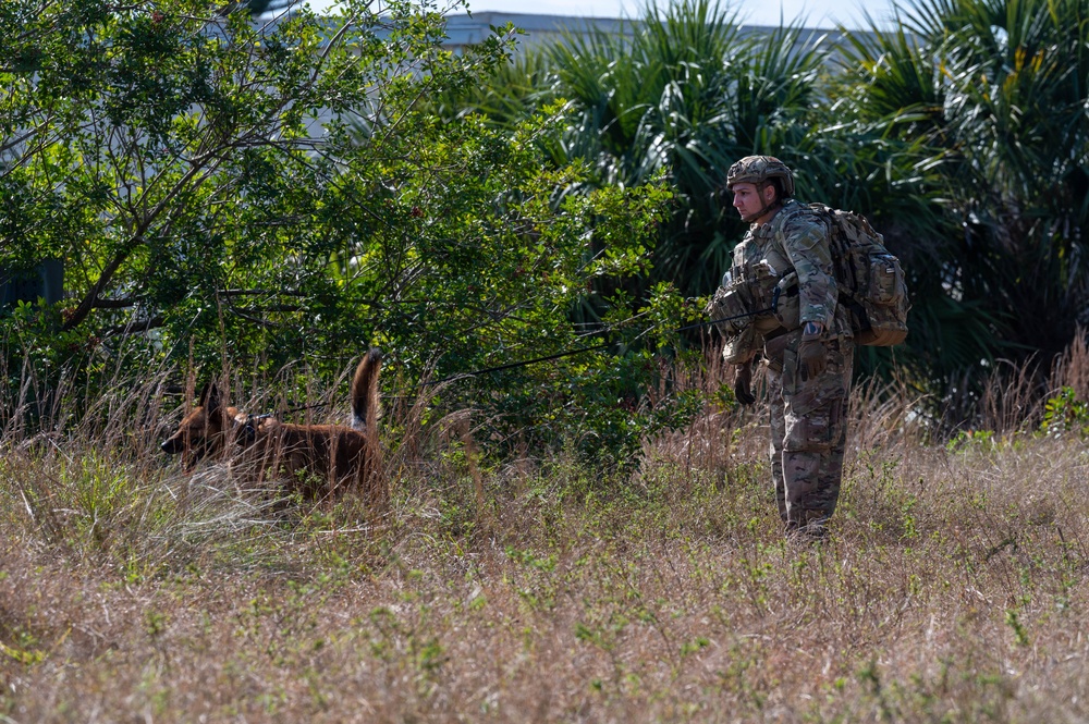 K9 and EOD Joint Training Exercise