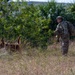 K9 and EOD Joint Training Exercise