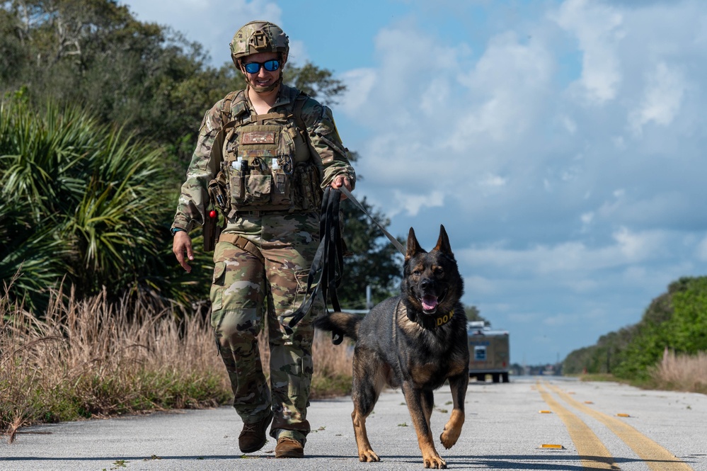 K9 and EOD Joint Training Exercise