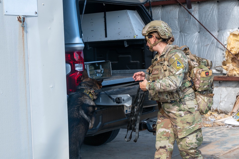 K9 and EOD Joint Training Exercise