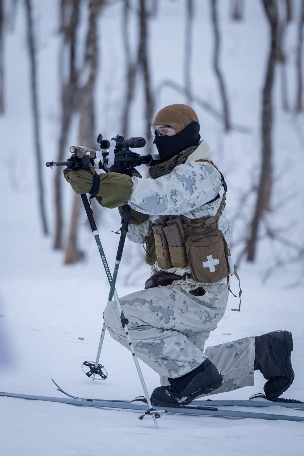 Exercise Joint Viking 25: Force Reconnaissance Company Participates in Patrol Course Winter