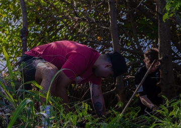 Marina Cove Mangrove Clear and Clean