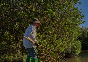 Marina Cove Mangrove Clear and Clean