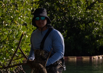 Marina Cove Mangrove Clear and Clean