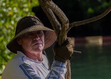 Marina Cove Mangrove Clear and Clean