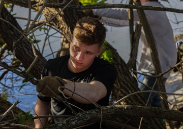 Marina Cove Mangrove Clear and Clean