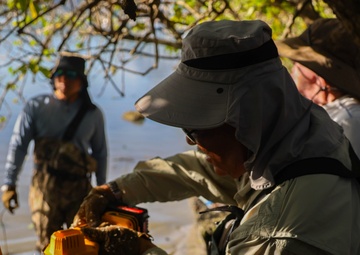 Marina Cove Mangrove Clear and Clean