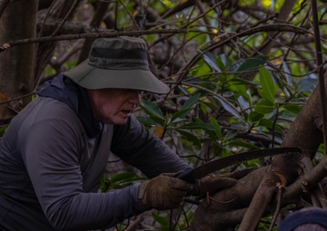 Marina Cove Mangrove Clear and Clean