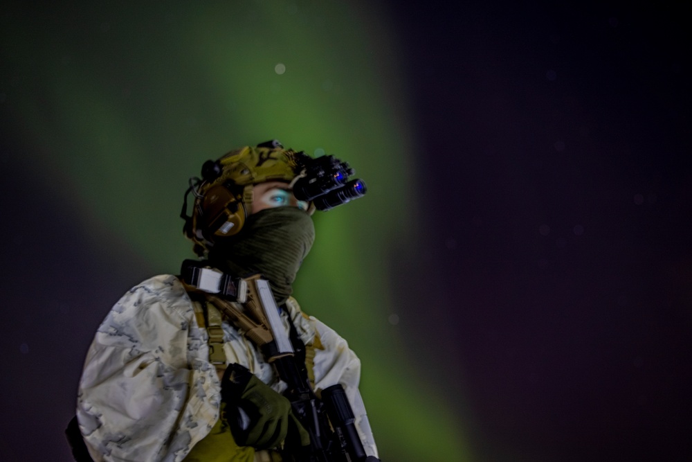 Exercise Joint Viking 25: Force Reconnaissance Company Participates in Patrol Course Winter