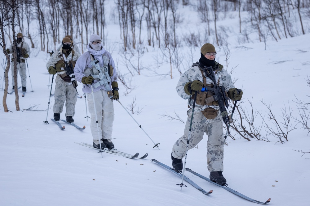 Exercise Joint Viking 25: Force Reconnaissance Company Participates in Patrol Course Winter