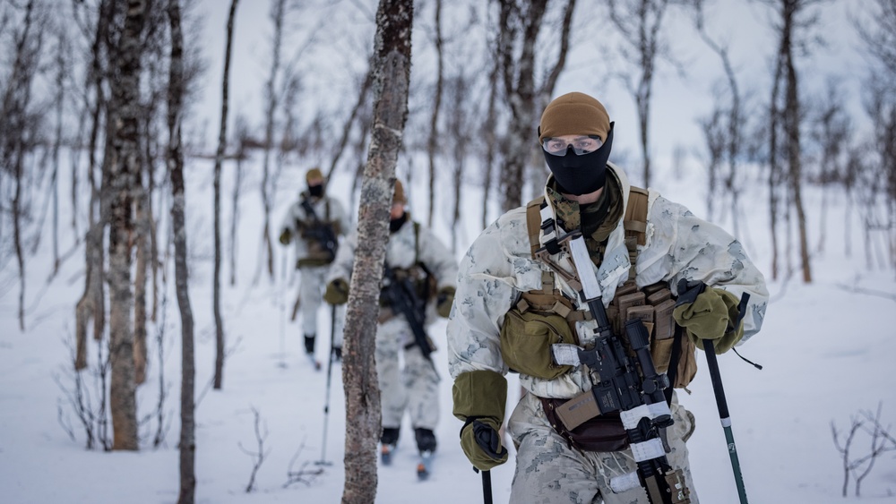 Exercise Joint Viking 25: Force Reconnaissance Company Participates in Patrol Course Winter