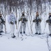 Exercise Joint Viking 25: Force Reconnaissance Company Participates in Patrol Course Winter