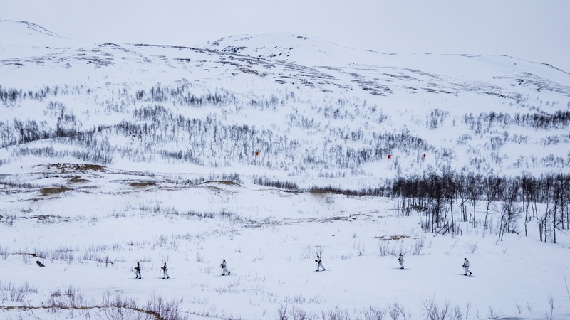 Exercise Joint Viking 25: Force Reconnaissance Company Participates in Patrol Course Winter