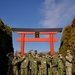 U.S. Army Japan Co-Op Program Deepens U.S. and Japanese Relations