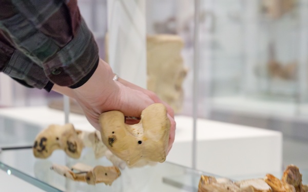 NMHM Exhibit Removal