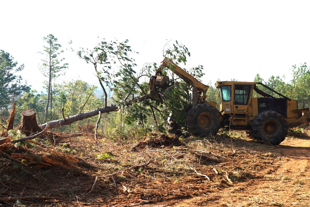 USACE timber salvage in full swing after Hurricane Helene's fury