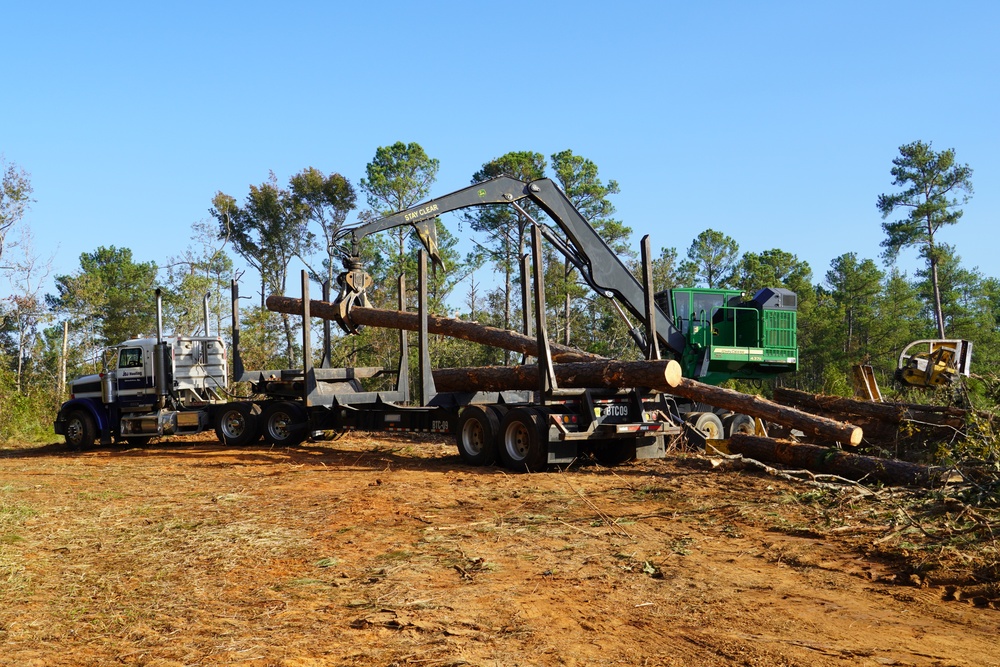 USACE timber salvage in full swing after Hurricane Helene's fury