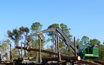 USACE timber salvage in full swing after Hurricane Helene's fury