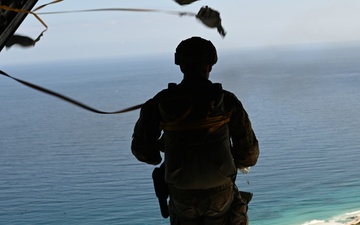 Joint jump training at Exercise NEXUS FORGE