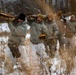 Air National Guard Cold Weather Course