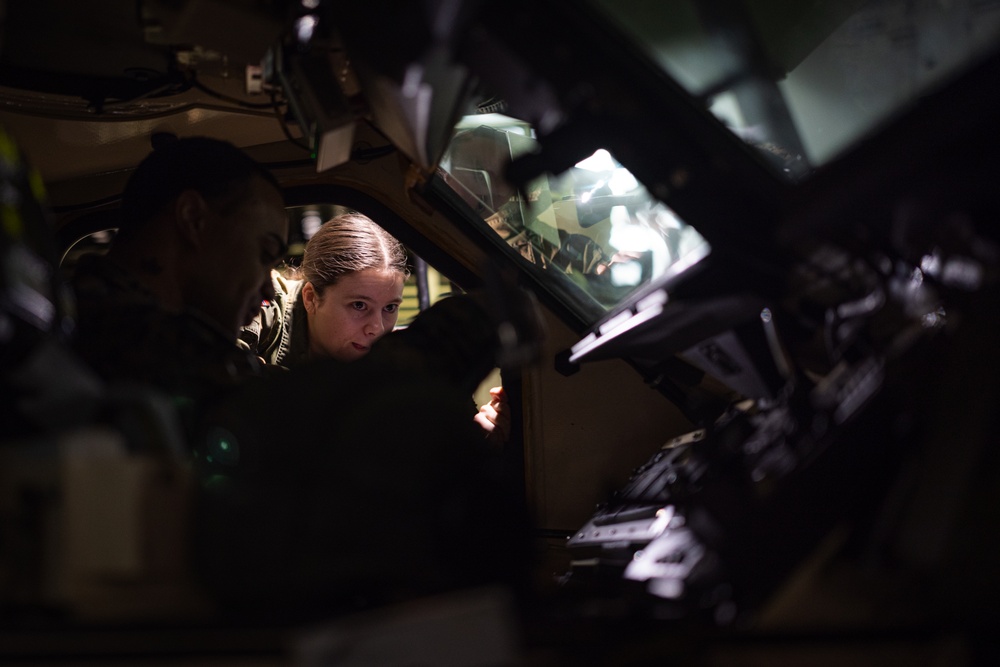 Exercise Joint Viking 25: Health Services Capabilities Exchange