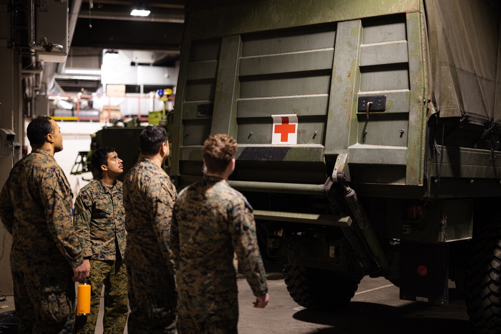 Exercise Joint Viking 25: Health Services Capabilities Exchange