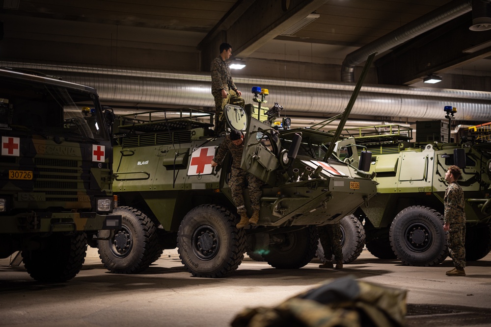 Exercise Joint Viking 25: Health Services Capabilities Exchange