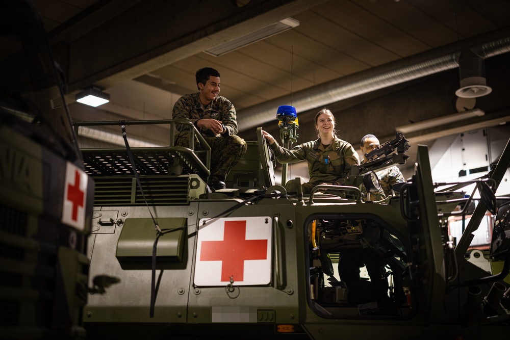 Exercise Joint Viking 25: Health Services Capabilities Exchange