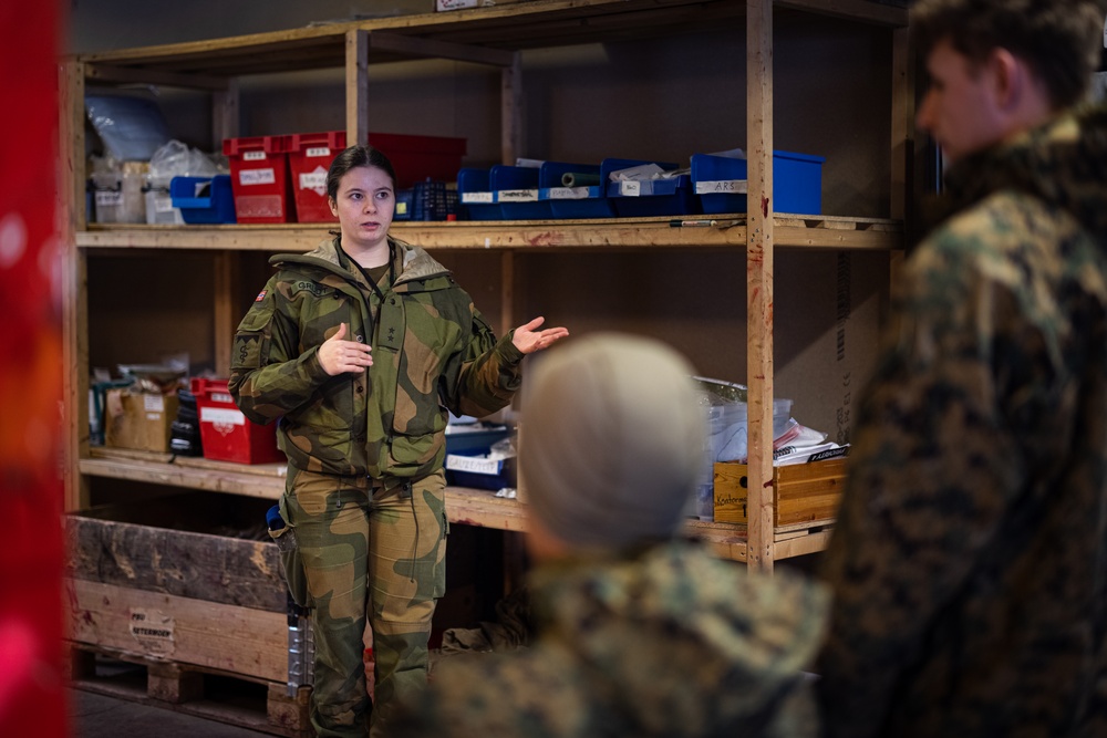 Exercise Joint Viking 25: Health Services Capabilities Exchange