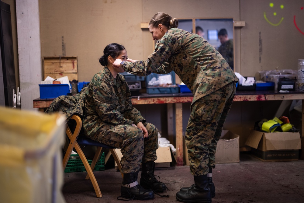 Exercise Joint Viking 25: Health Services Capabilities Exchange