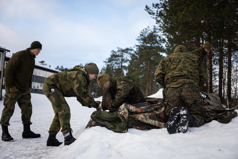 Exercise Joint Viking 25: Health Services Capabilities Exchange