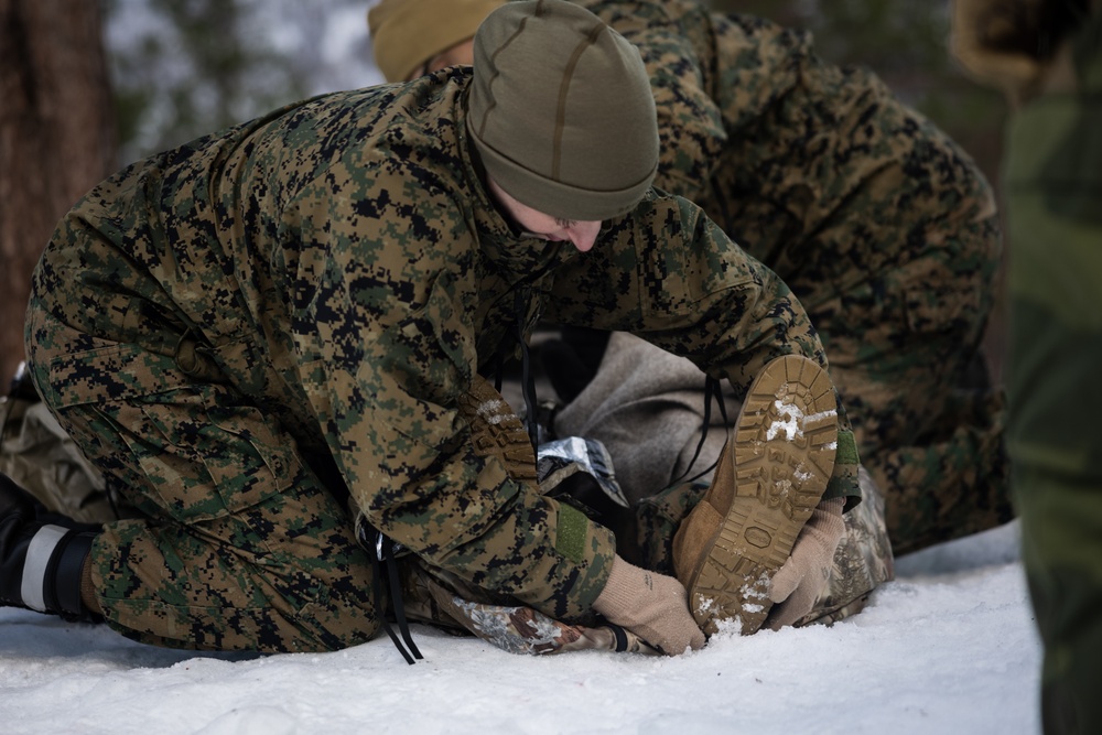 Exercise Joint Viking 25: Health Services Capabilities Exchange