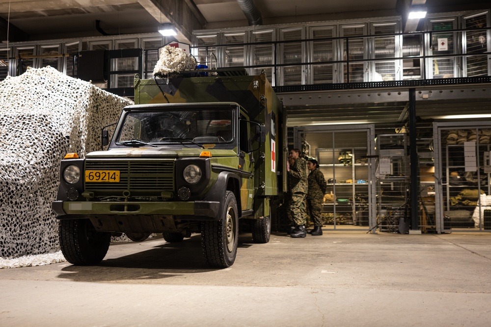 Exercise Joint Viking 25: Health Services Capabilities Exchange