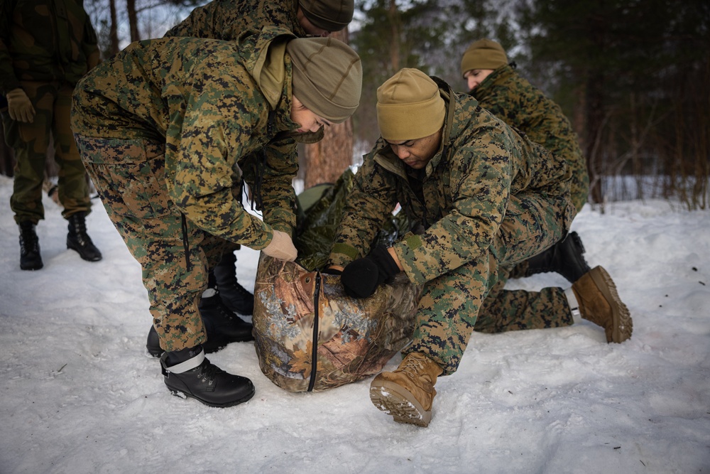 Exercise Joint Viking 25: Health Services Capabilities Exchange