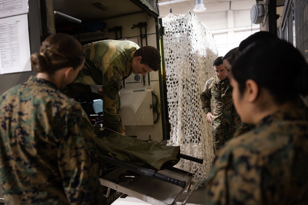 Exercise Joint Viking 25: Health Services Capabilities Exchange