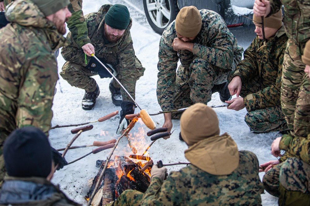 Exercise Joint Viking 25: Ice Classification Course