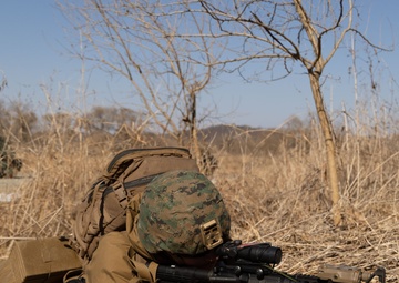 III MSB and 630th Clearance Company Joint Training