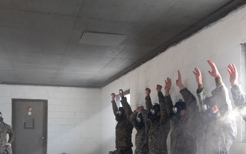 III MSB Gas Chamber