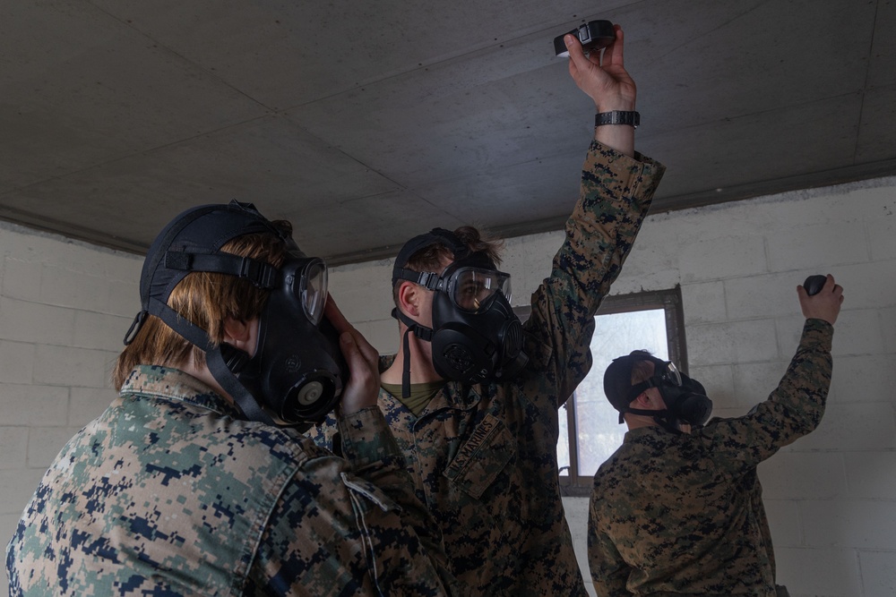 III MSB Gas Chamber