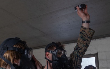 III MSB Gas Chamber