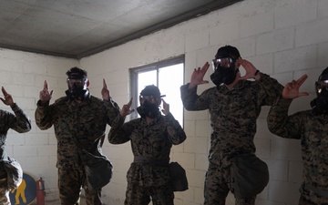 III MSB Gas Chamber