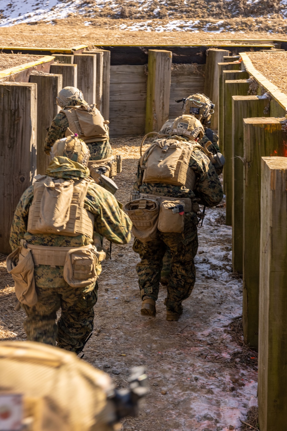 U.S. Marines Execute Live Fire Platoon Attacks During Korea Viper 25.2