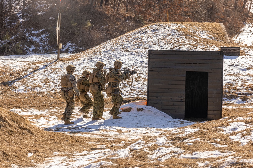 U.S. Marines Execute Live Fire Platoon Attacks During Korea Viper 25.2