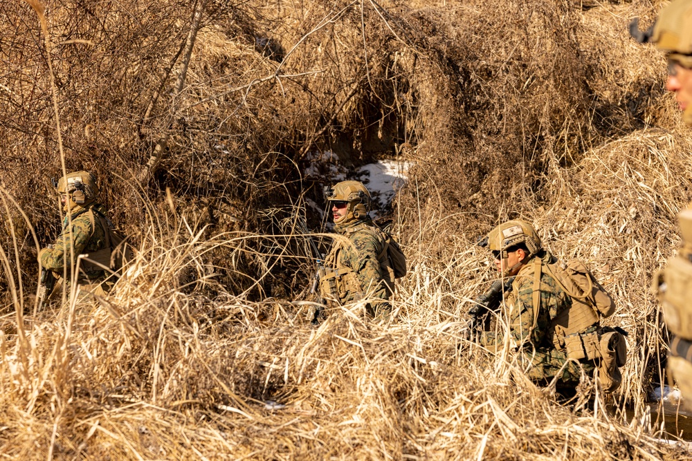 U.S. Marines Execute Live Fire Platoon Attacks During Korea Viper 25.2