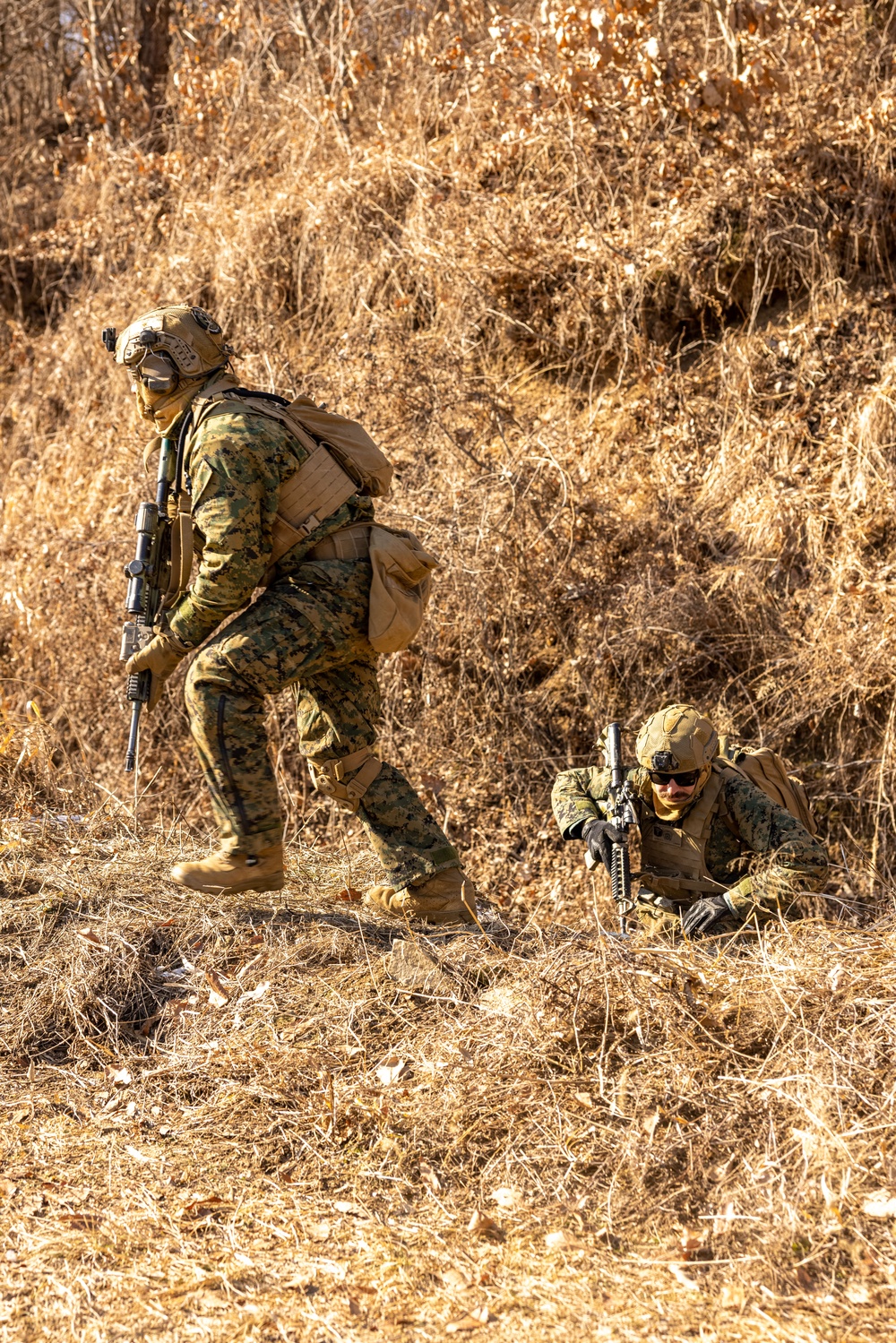 U.S. Marines Execute Live Fire Platoon Attacks During Korea Viper 25.2